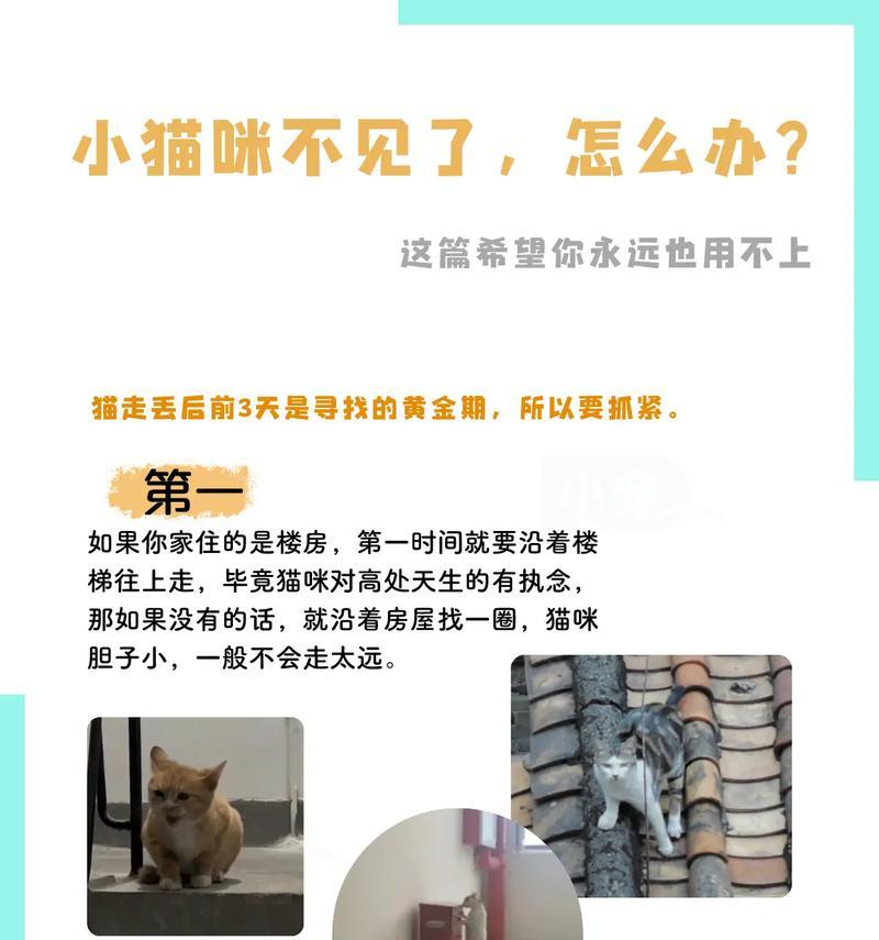 偷窃猫粮是否违法？遇到这种情况该如何处理？