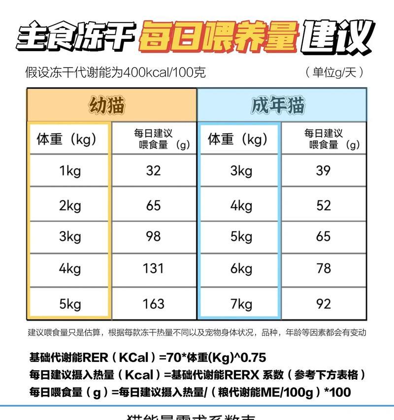 不买猫粮如何喂猫？替代食物有哪些选择？