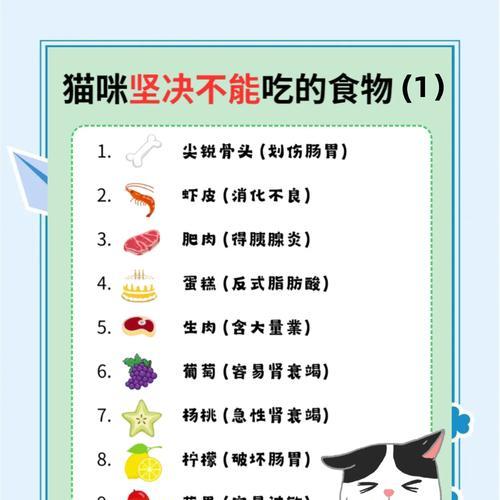 喂猫粮时添加什么食物最健康？搭配营养均衡的秘诀是什么？
