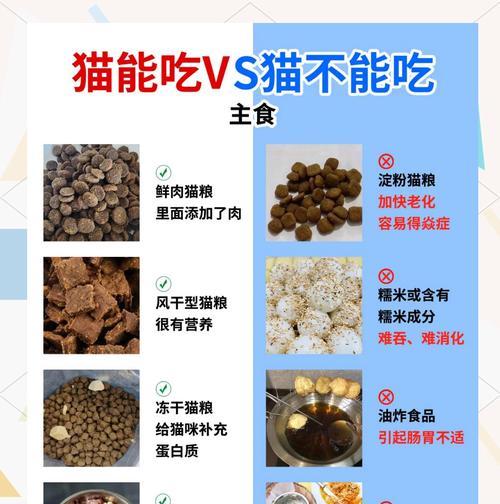 猫咪偏爱猫条不吃猫粮怎么办？调整饮食习惯的有效方法是什么？