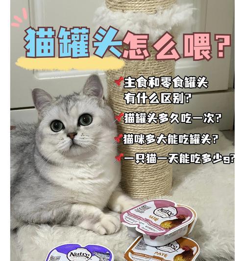 猫粮和罐头如何搭配喂食？哪种组合更营养？