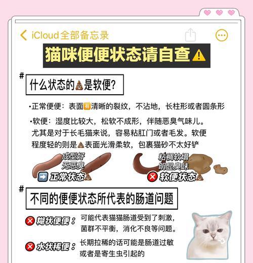 宠物猫粮不当会导致拉血吗？原因是什么？