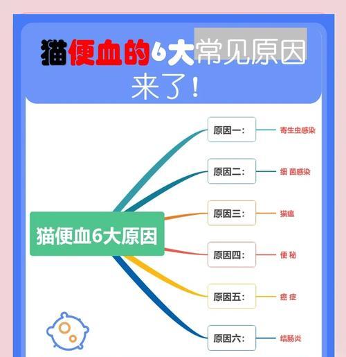 宠物猫粮不当会导致拉血吗？原因是什么？
