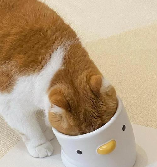 猫粮中发现粘虫应该怎么办？