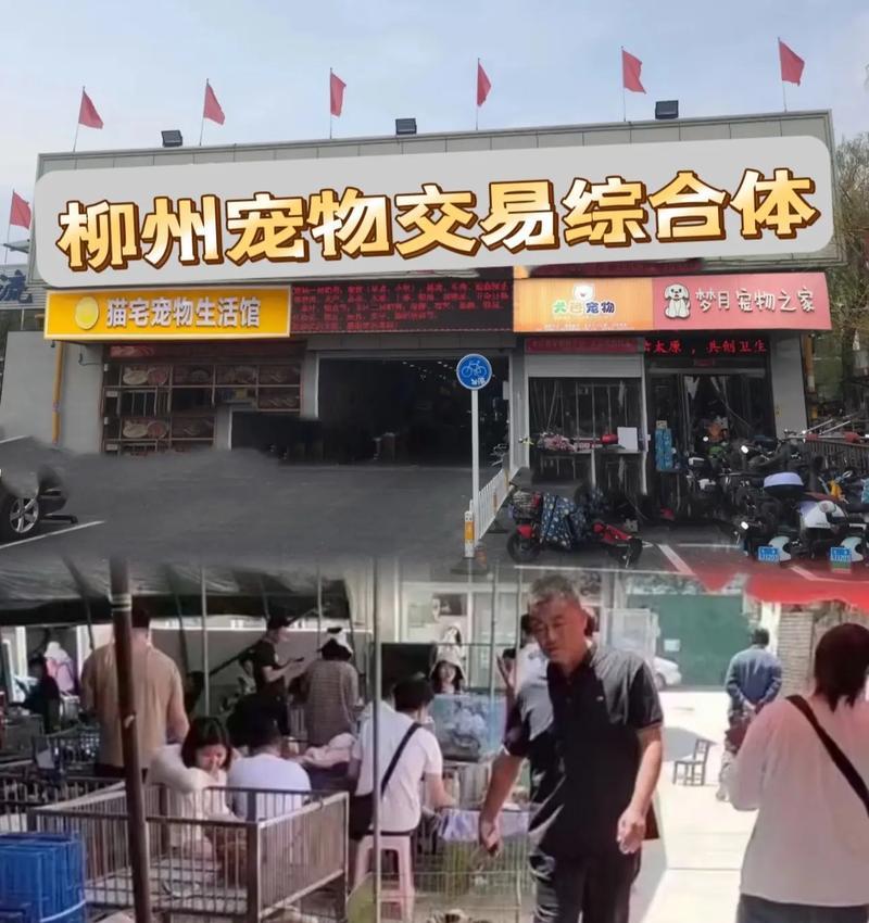 柳州早市哪里有卖猫粮的？具体位置在哪里？