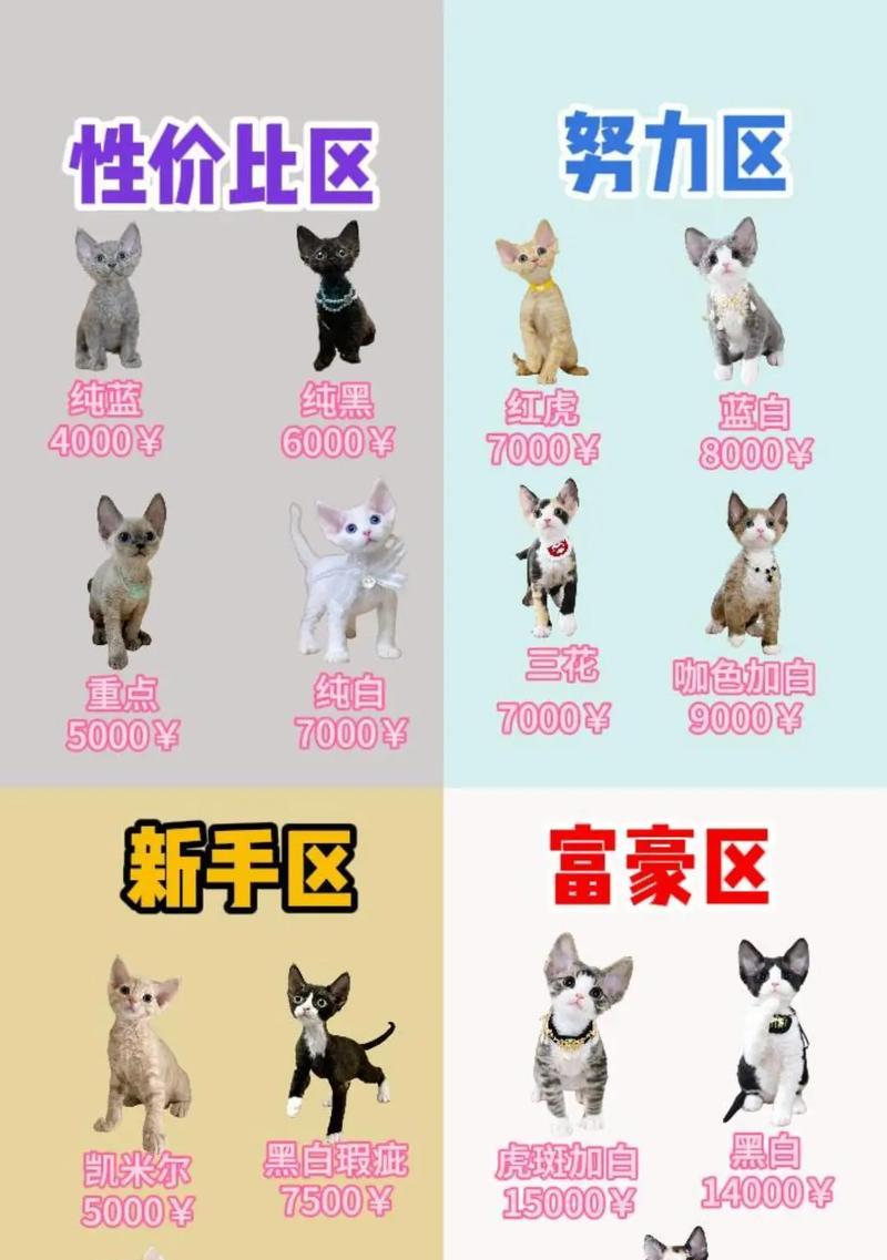 德文幼猫的猫粮选择建议是什么？