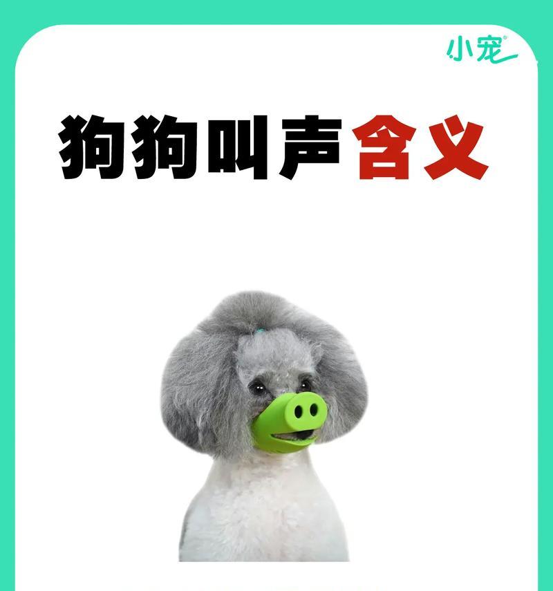 哪种狗的叫声像羊驼？