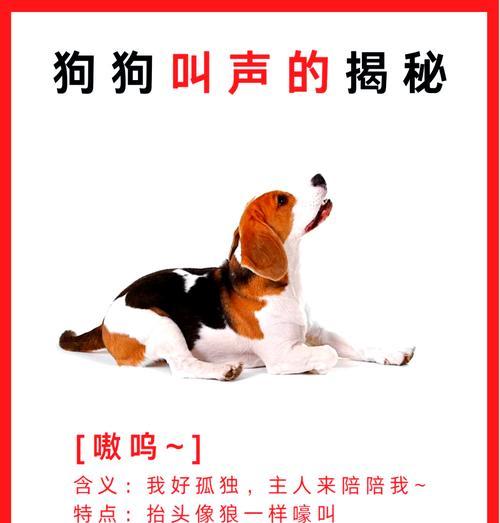 哪种狗的叫声像羊驼？