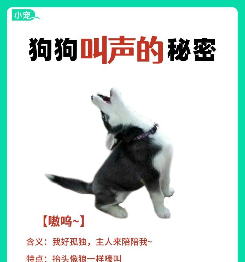 哪种狗的叫声像羊驼？