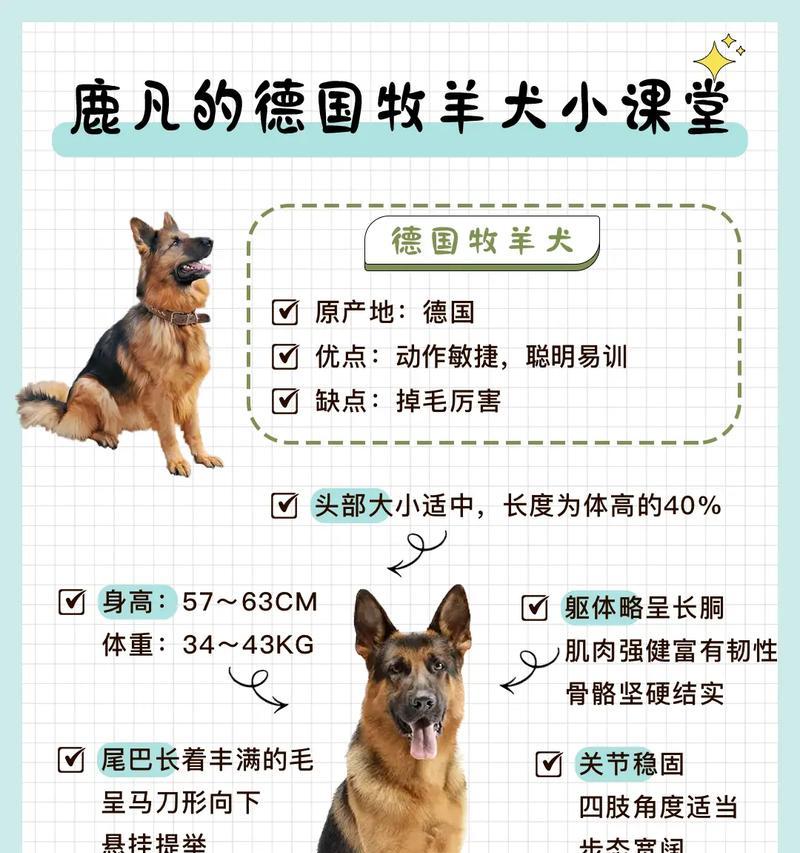 德牧喂食鸡肉的合适量是多少？