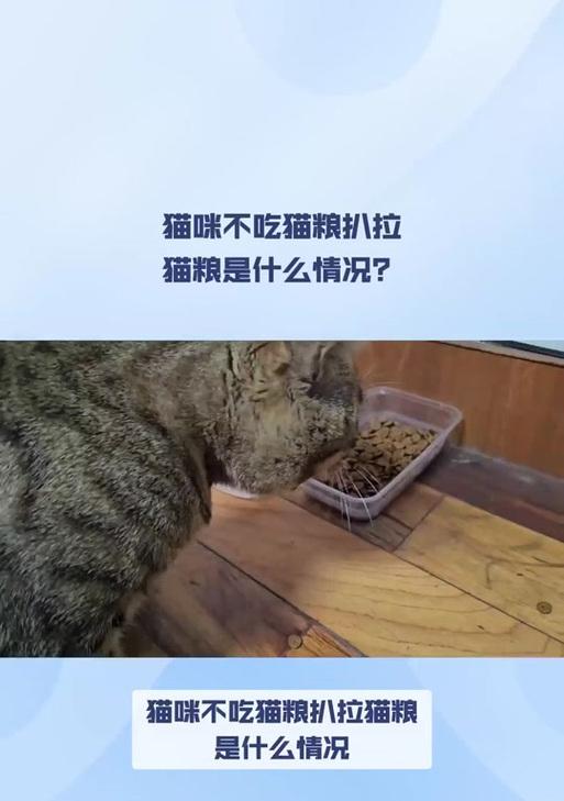 猫咪边吃猫条边吃猫粮会有什么影响？