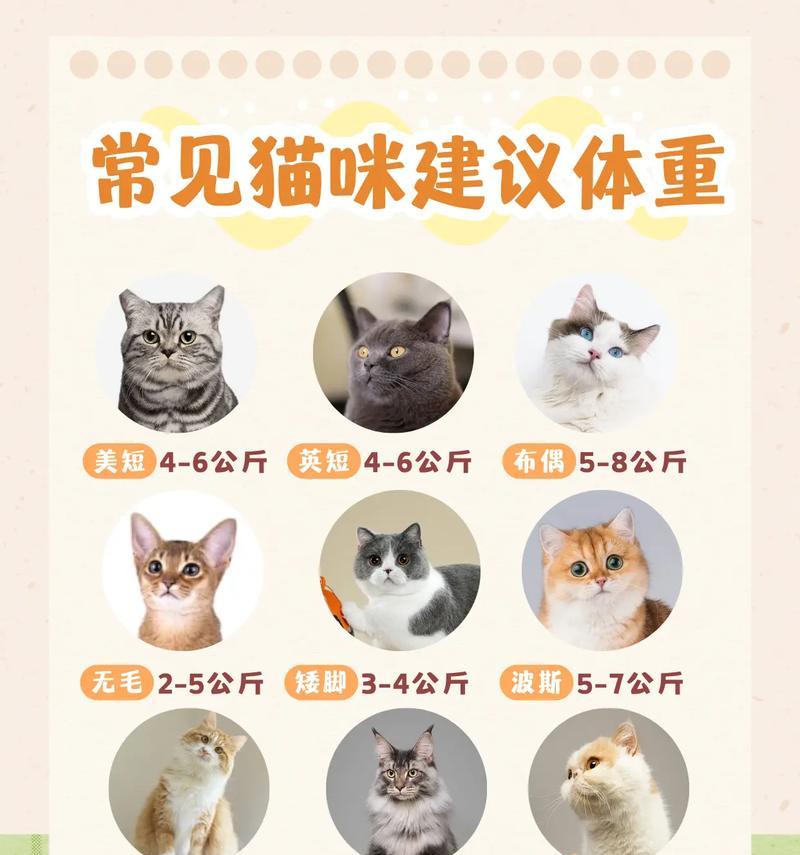 只给猫吃猫粮会发胖吗？原因是什么？