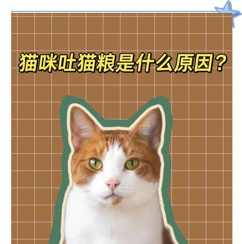 只给猫吃猫粮会发胖吗？原因是什么？