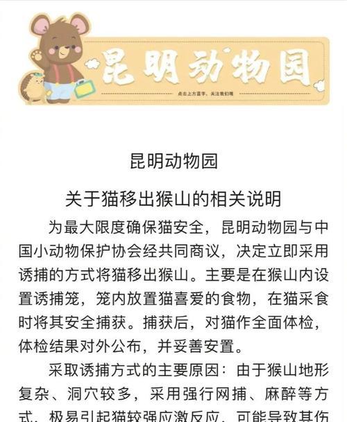 猴子误食猫粮怎么办？如何防止这种情况发生？