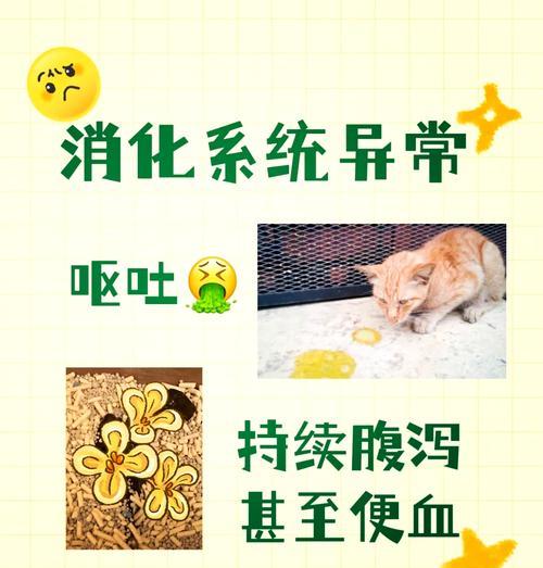 猴子误食猫粮怎么办？如何防止这种情况发生？
