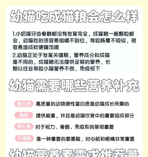 长时间不给猫咪吃猫粮会有什么后果？