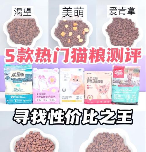 宠爱相伴猫粮的用户反馈如何？元气猫粮适合哪些猫咪？