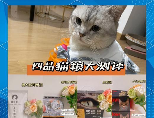 宠爱相伴猫粮的用户反馈如何？元气猫粮适合哪些猫咪？