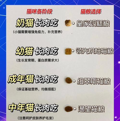 猫粮放置三四天后会发生什么变化？