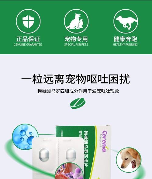 换猫粮后猫咪频繁呕吐应该吃什么药？如何解决？