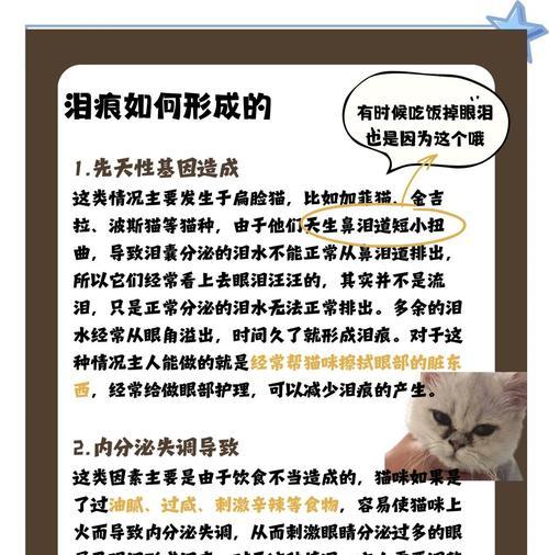 猫咪泪痕频繁出现怎么办？换猫粮有影响吗？