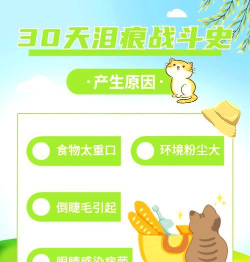 猫咪泪痕频繁出现怎么办？换猫粮有影响吗？
