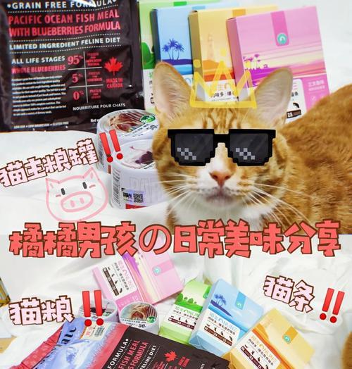 橘猫投喂猫粮的最佳方法是什么？