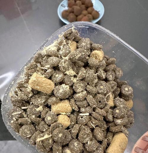 蓝氏猫粮的最佳保存方法是什么？