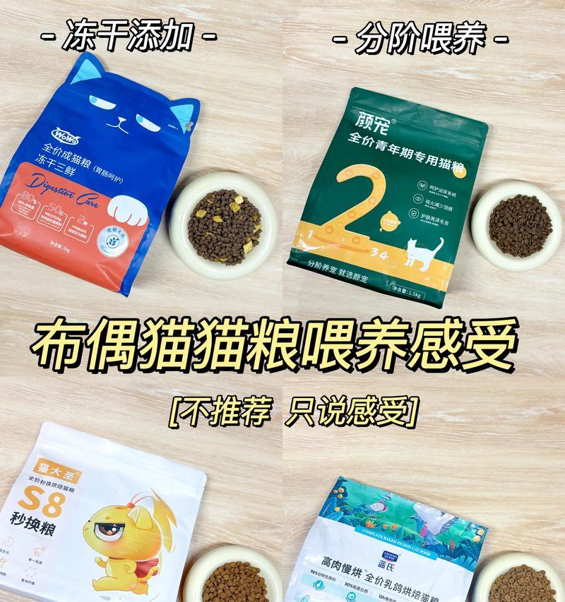 3个月大的布偶幼猫应该怎样喂食猫粮？