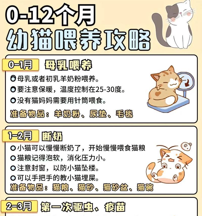 猫舍喂猫繁育粮怎么喂？如何正确喂养繁育猫？