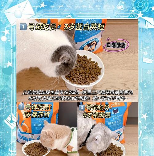 美版加版猫粮的区别是什么？如何选择适合的版本？