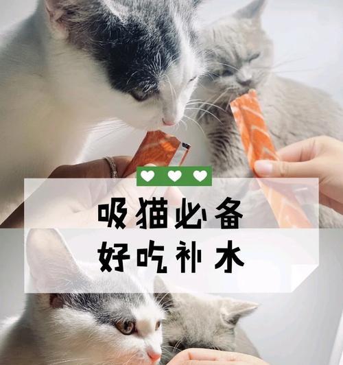 宽福猫粮的快递寄送流程是怎样的？如何确保猫粮安全送达？