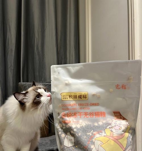 宽福猫粮的快递寄送流程是怎样的？如何确保猫粮安全送达？