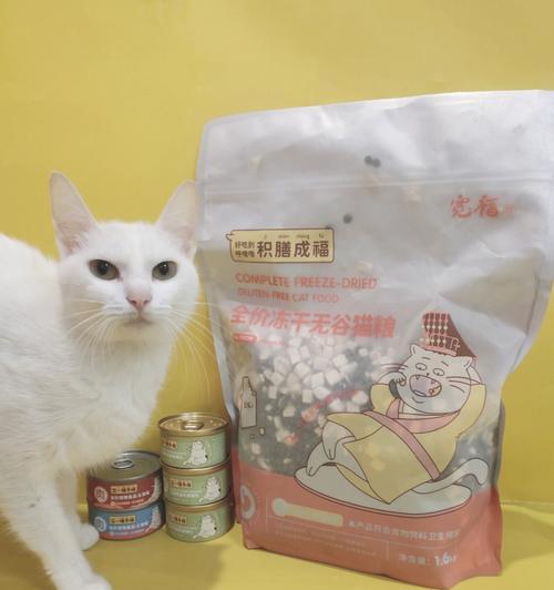 宽福猫粮的快递寄送流程是怎样的？如何确保猫粮安全送达？