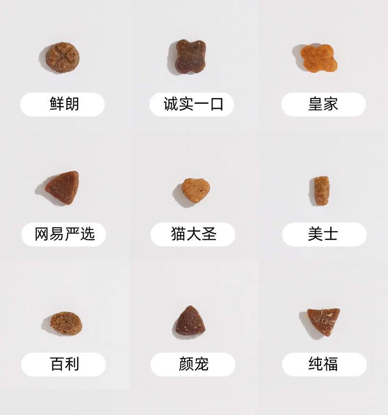 幼猫吃猫粮特少正常吗怎么办？如何提高幼猫的食欲？