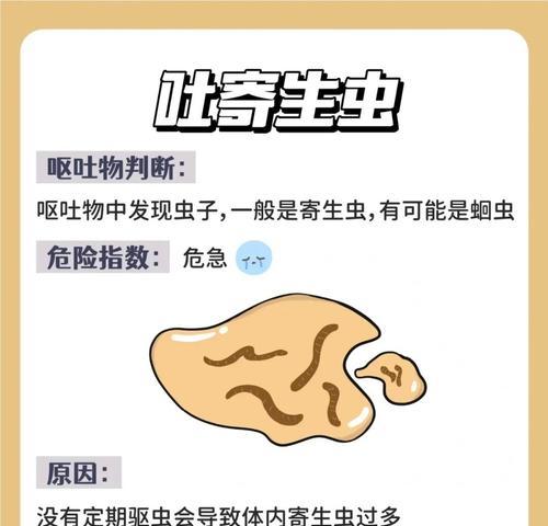 猫为什么老吐吐了又吃了猫粮？猫咪呕吐后又吃猫粮的原因是什么？