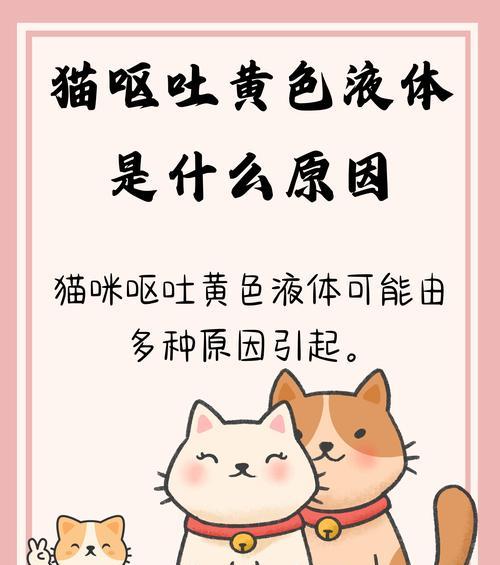 猫粮吐黄水怎么回事啊吃什么药