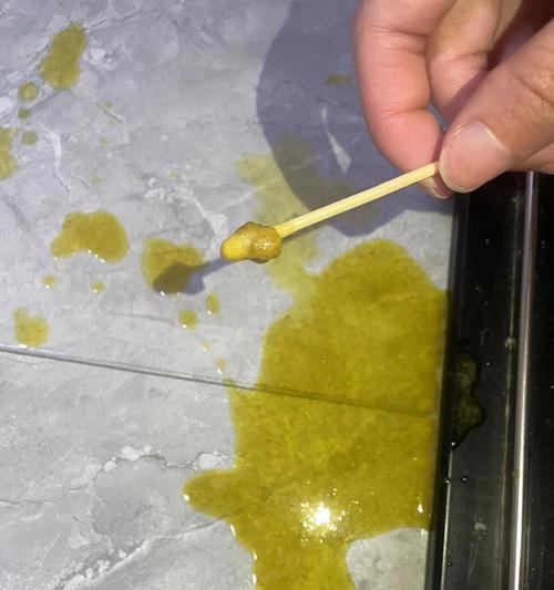 猫粮吐黄水怎么回事啊吃什么药