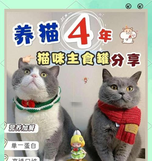猫咪只吃罐头不吃猫粮是怎么回事？