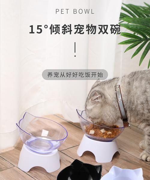 装猫粮的小碗叫什么？如何选择适合猫咪的食具？
