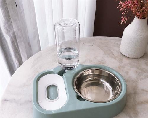 装猫粮的小碗叫什么？如何选择适合猫咪的食具？