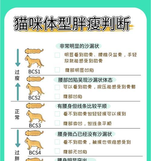 猫咪软便中含有未消化的猫粮怎么办？如何改善？