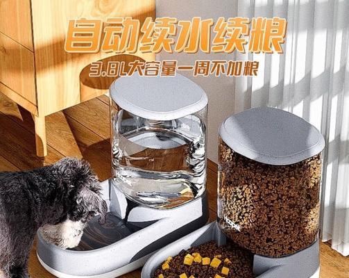 如何正确给宠物老鼠喂水？