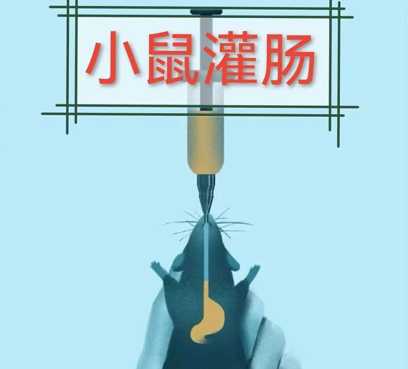 如何正确给宠物老鼠喂水？
