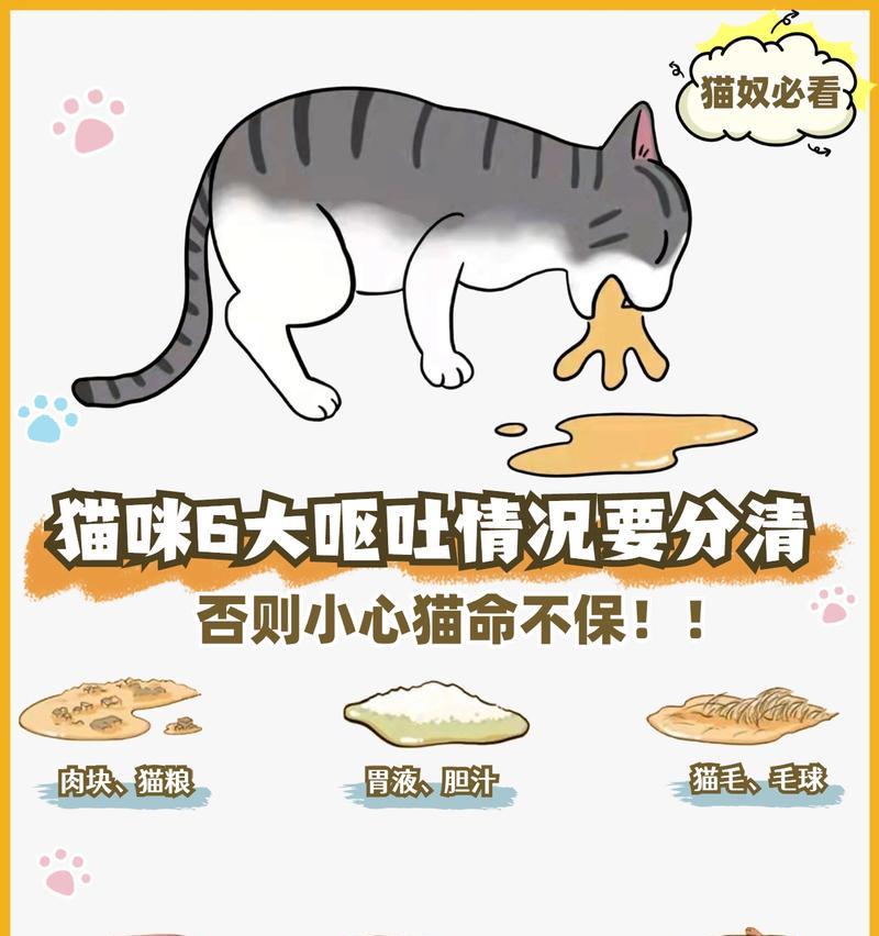 猫为什么就吃小猫粮？这是天性还是其他原因？