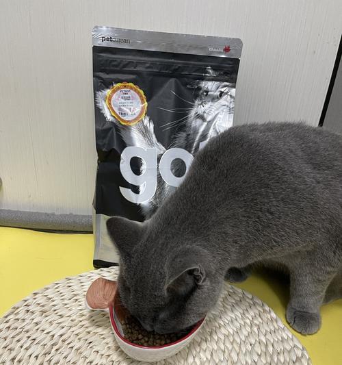 搬家后猫粮倒了怎么处理？如何防止猫咪误食？