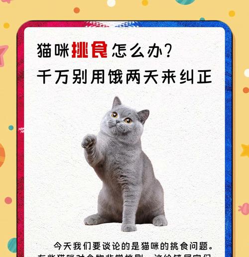 猫咪突然猫粮挑着吃怎么回事？饮食习惯改变的原因是什么？