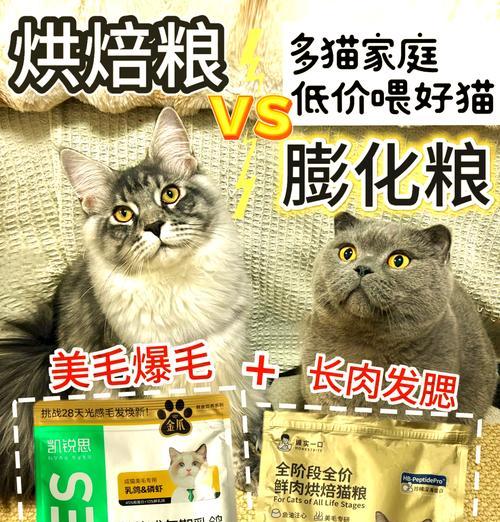 天然猫粮与膨化猫粮的区别是什么？如何选择？