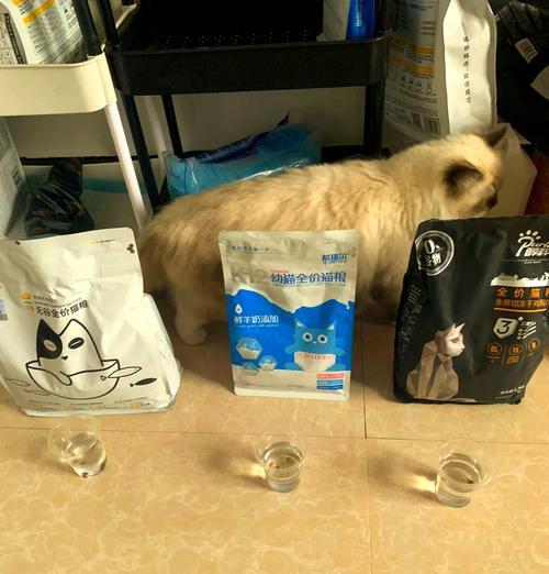 用多热的水泡猫粮最合适？这样做有什么好处？