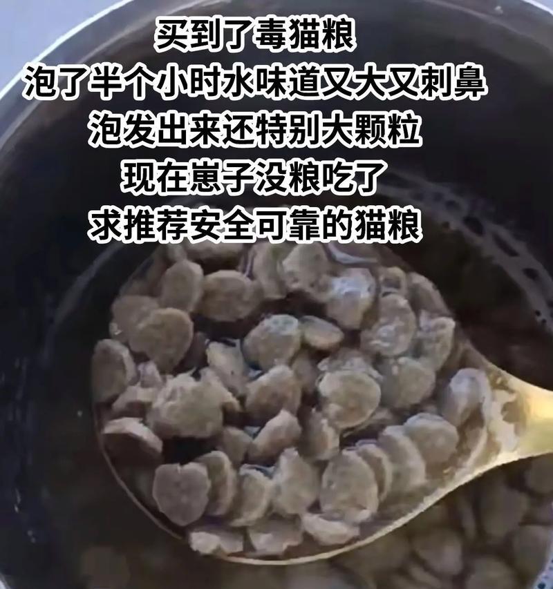 用多热的水泡猫粮最合适？这样做有什么好处？